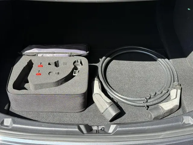 Tesla Model 3 Long Range AWD Dual 2019 Elektrisch 8