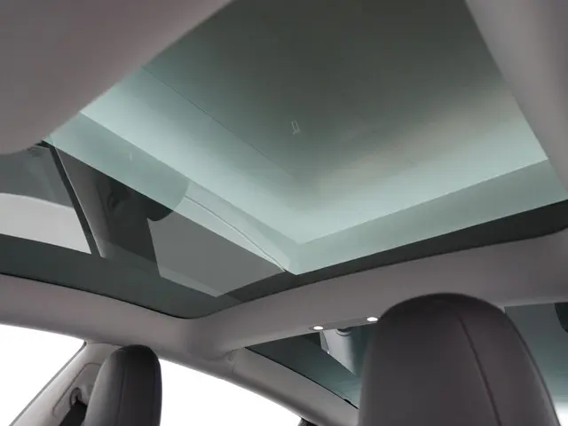 Tesla Model 3 Long Range RWD 75 kWh 2023 Elektrisch 20