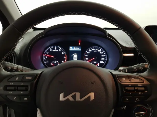 Kia Picanto 1.0 DPi Automaat DynamicLine 2022 Benzine 11