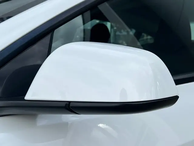 Tesla Model 3 Standard RWD Plus 2021 Elektrisch 12
