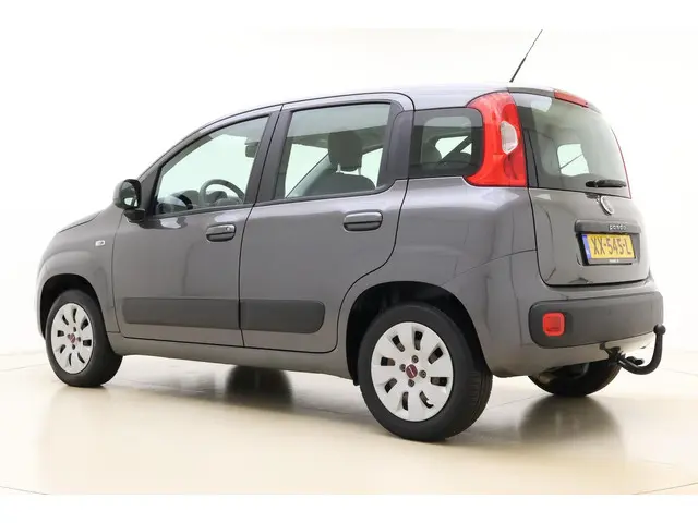 Fiat Panda 0.9 TwinAir Lounge 2019 Benzine 12