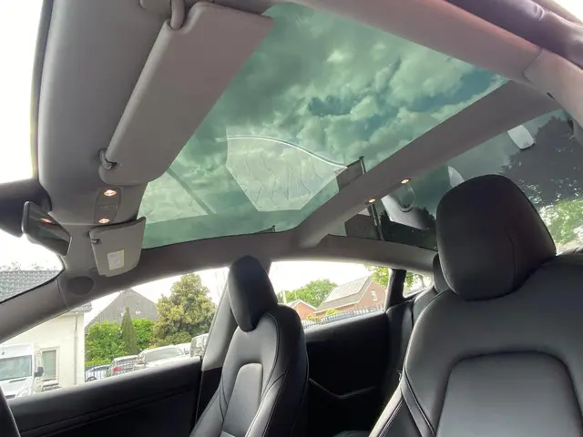 Tesla Model 3 Standard RWD Plus 60 kWh 2020 Elektrisch 14