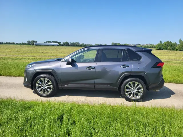 Toyota RAV4 2.0 VVT-iE Executive 2019 Benzine 35