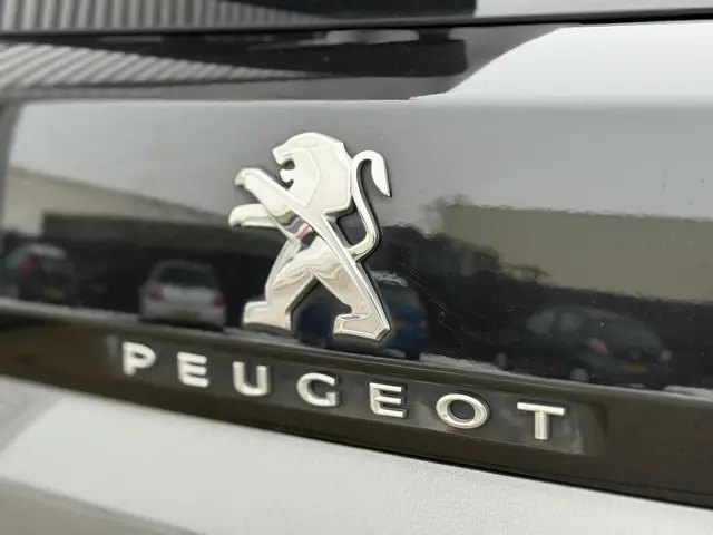 Peugeot 3008 1.2 PureTech GT Line 2017 Benzine 38
