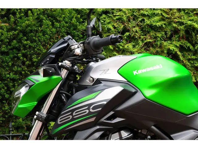 Kawasaki Z650 ABS 50kw 2019 Benzine 23