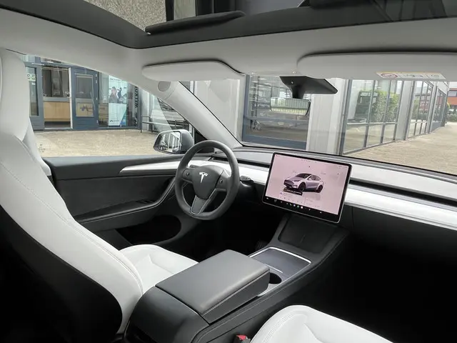 Tesla Model Y Long Range AWD 75 kWh 2023 Elektrisch 4