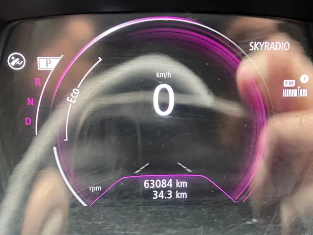 Renault Kadjar 1.2 TCe Intens Automaat 2018 Benzine 20