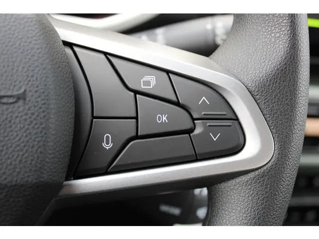 Dacia Spring Extreme 65 26.8 kWh 2025 Elektrisch 20