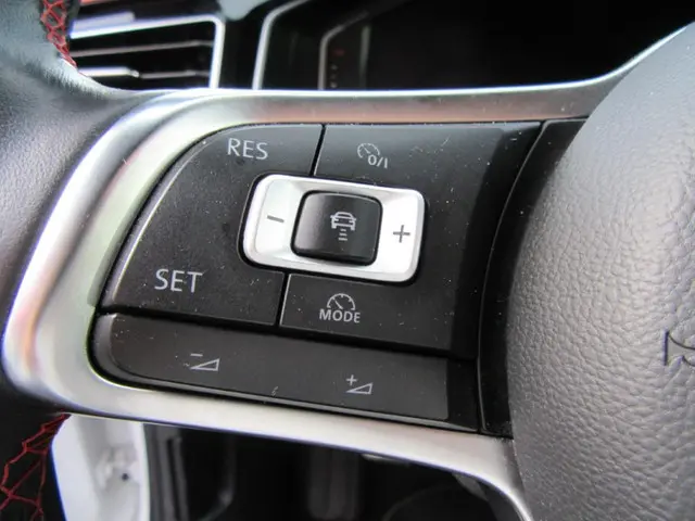 Volkswagen Polo 2.0 TSI GTI 2019 Benzine 38