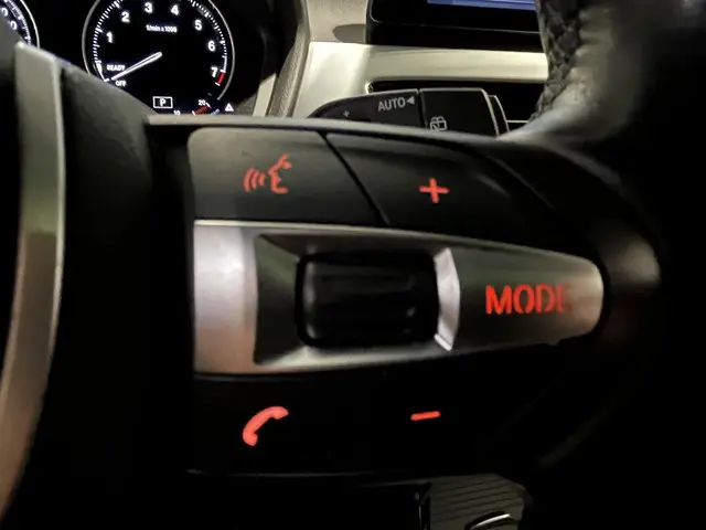 BMW X2 sDrive20i High Executive Edition 2020 Benzine 21