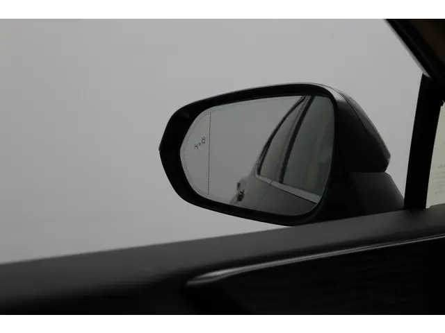 Lexus NX 450h+ AWD Executive Line 2022 Hybride Benzine 53