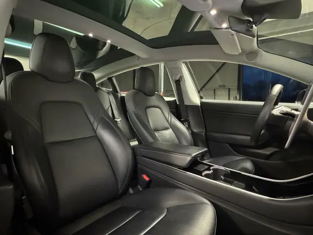 Tesla Model 3 Long Range AWD 75 kWh 2019 Elektrisch 9