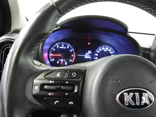 Kia Picanto 1.0 MPi DynamicLine 2019 Benzine 13