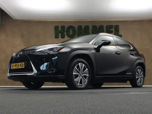 Lexus UX 300e Business 54 kWh 2020 Elektrisch 2
