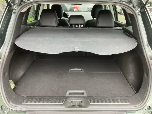 Renault Kadjar 1.3 TCe Intens 2020 Benzine 32