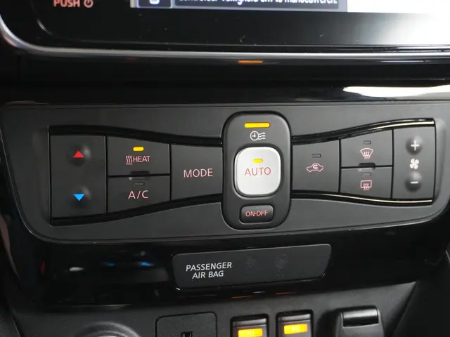 Nissan Leaf Tekna 40 kWh 2019 Elektrisch 35