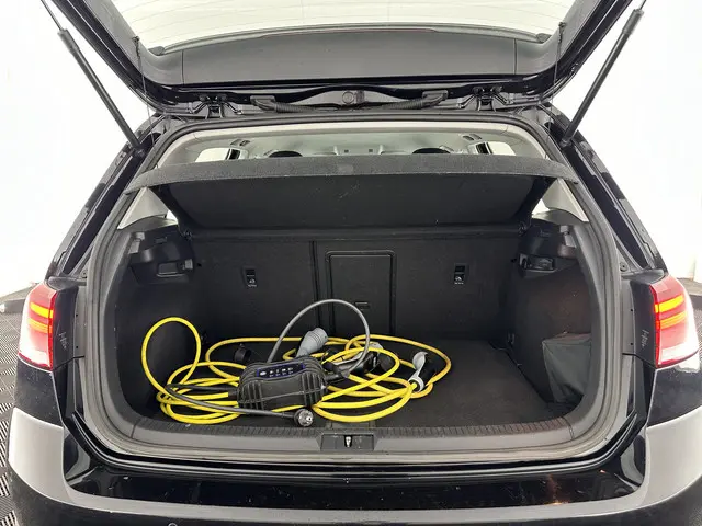 Volkswagen e-Golf E-DITION 2020 Elektrisch 10