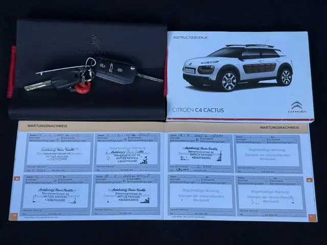 Citroën C4 Cactus 1.2 PureTech Feel 2017 Benzine 23