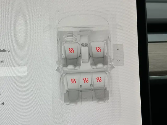 Tesla Model Y Long Range AWD 75 kWh 2023 Elektrisch 33