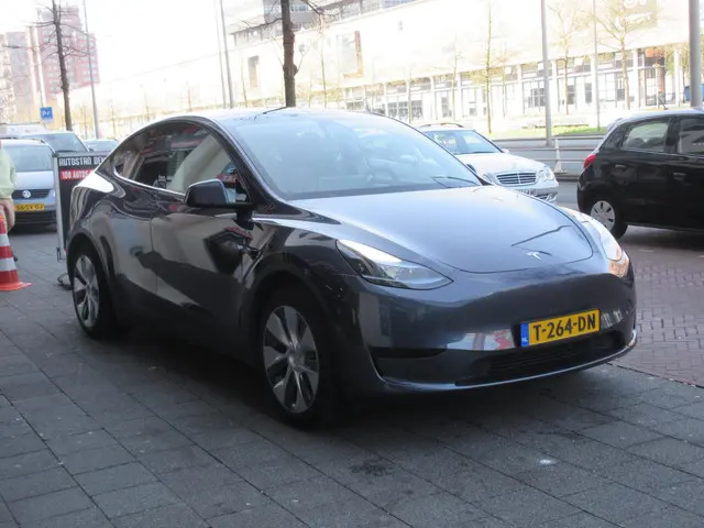 Tesla Model Y RWD 58 kWh 2023 Elektrisch 4