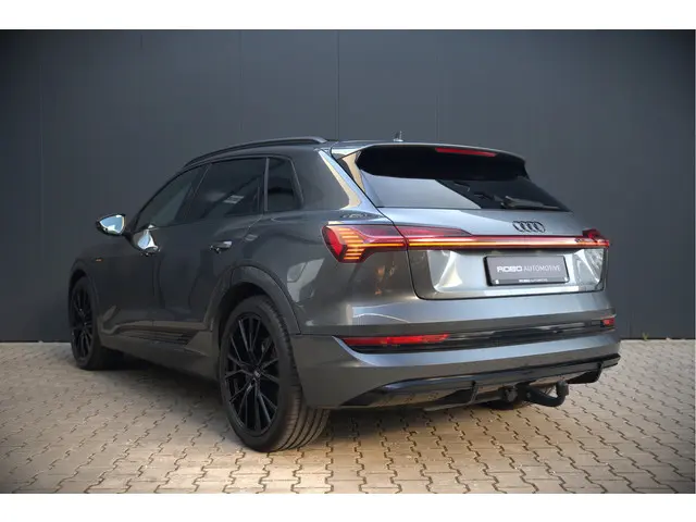 Audi e-tron 50 quattro S edition 71 kWh 2020 Elektrisch 3