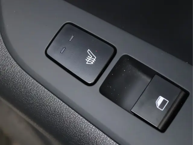 Kia Niro EV ExecutiveLine 64.8 kWh 2022 Elektrisch 29