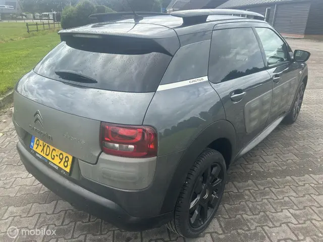 Citroën C4 Cactus 1.2 e-VTi Shine 2014 Benzine 4