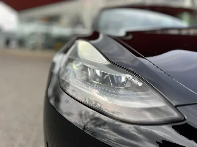 Tesla Model 3 Standard RWD Plus 60 kWh 2020 Elektrisch 5