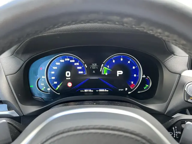 BMW X4 xDrive30i High Executive M-Sport 2019 Benzine 77