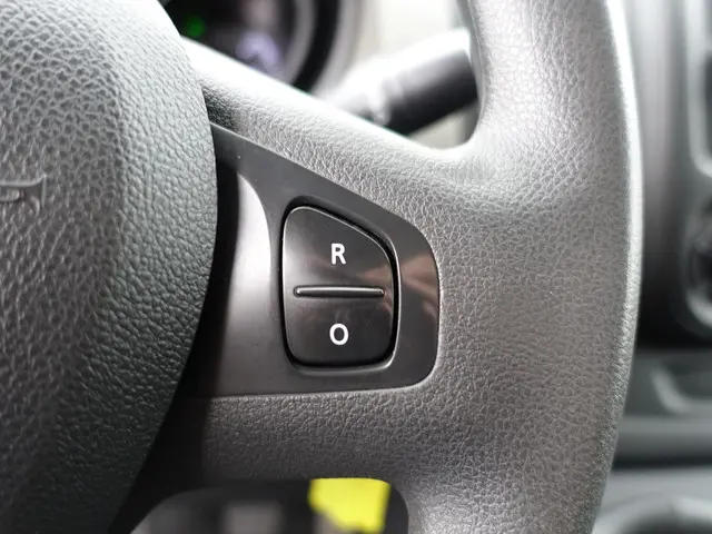 Renault Trafic 1.6 dCi Euro 6 T29 L2 Luxe- 2017 Diesel 12