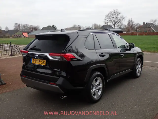 Toyota RAV4 2.5 Hybrid 2019 Hybride Benzine 3
