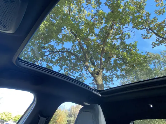 Peugeot 208 1.2 PureTech GT 2023 Benzine 14