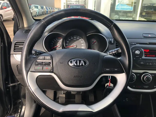 Kia Picanto 1.0 CVVT EconomyPlusLine 2018 Benzine 8