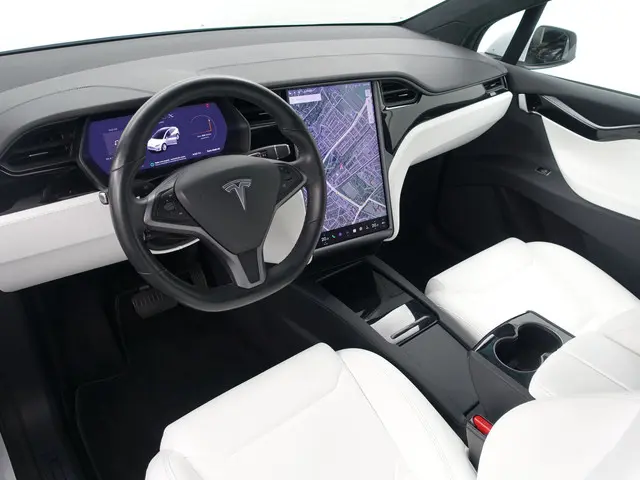 Tesla Model X Long Range Black Pack- 2019 Elektrisch 2