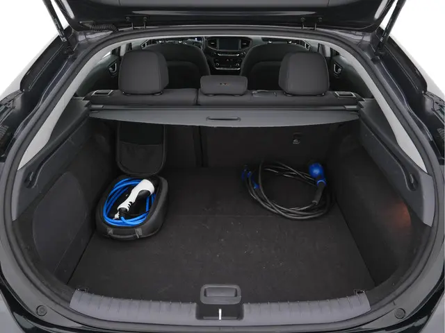 Hyundai IONIQ Comfort EV 2019 Elektrisch 10