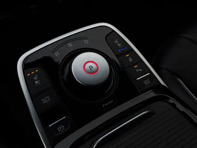 Kia e-Niro Aut. ExecutiveLine 64kWh 2021 Elektrisch 29