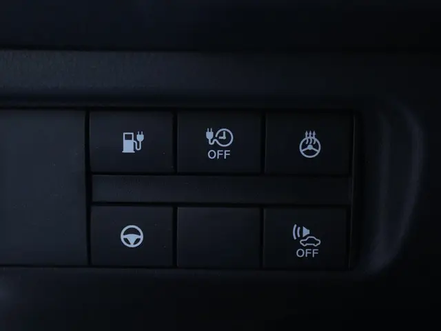 Nissan Leaf Tekna 40 kWh 2019 Elektrisch 19