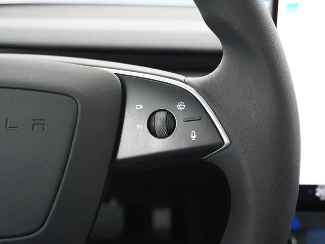 Tesla Model 3 Long Range AWD 78 kWh 2023 Elektrisch 29