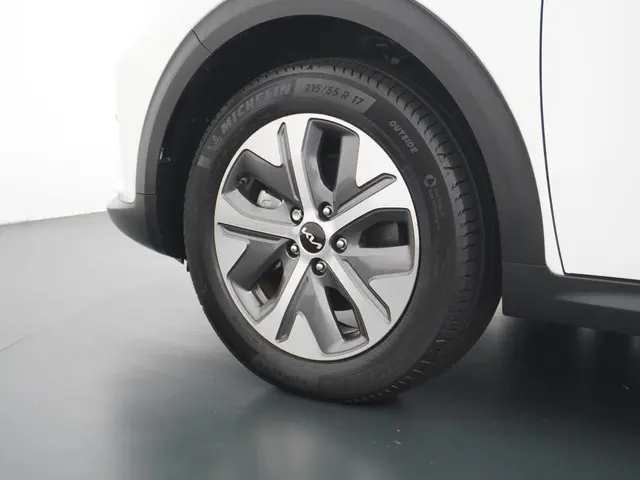 Kia e-Niro Edition 64 kWh 2021 Elektrisch 12