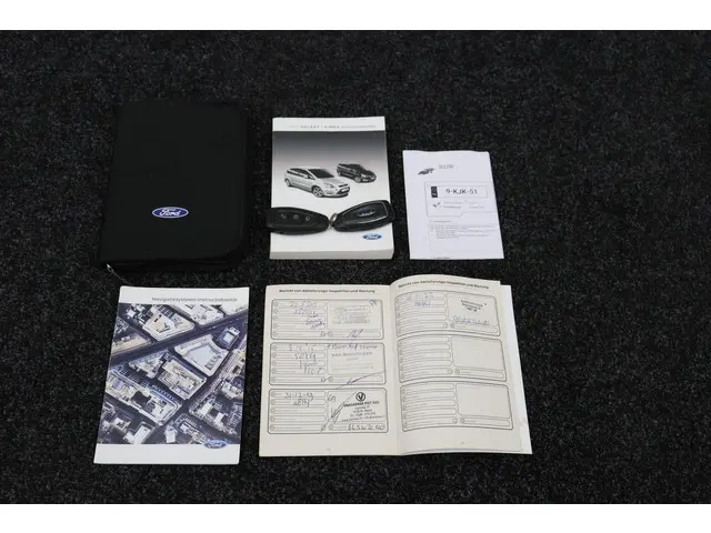 Ford S-Max 2.0 EcoBoost S Edition 5p. 2012 Benzine 6