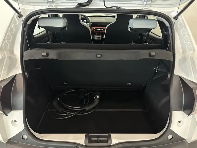 Dacia Spring Expression 65 26.8 kWh 2025 Elektrisch 14