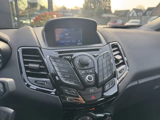 Ford Fiesta 1.0 EcoBoost 100pk Titanium 2014 Benzine 18