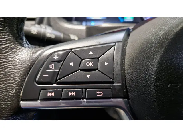 Nissan Leaf Tekna 40 kWh 2019 Elektrisch 21