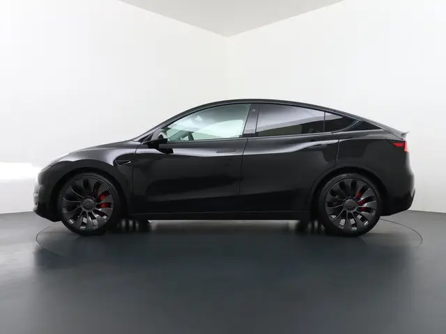 Tesla Model Y Performance AWD 75 kWh 2022 Elektrisch 4
