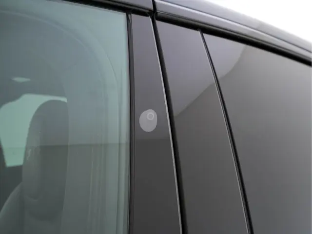 Tesla Model X 100D AWD [ 3-Fase ] 2018 Elektrisch 26