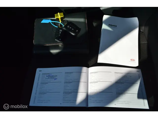 Kia Rio 1.0 T-GDi MHEV DynamicLine | A-Camera 2021 Benzine 8