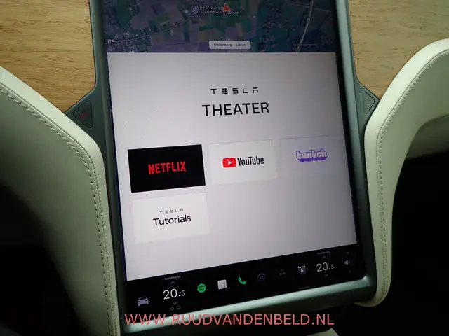 Tesla Model X 100D 7P 2018 Elektrisch 24