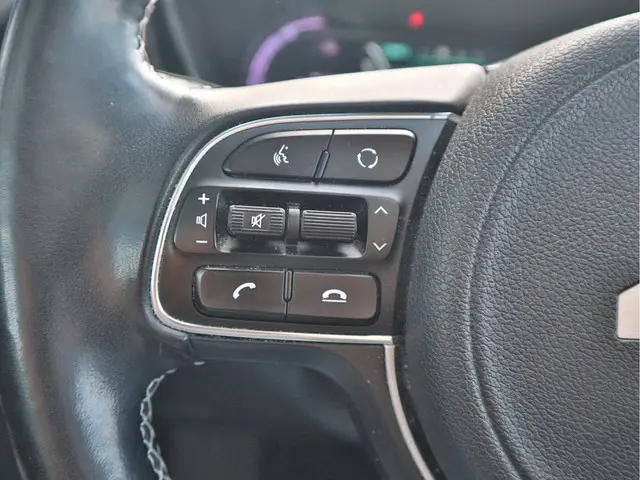 Kia e-Niro DynamicPlusLine 64 kWh 2021 Elektrisch 14