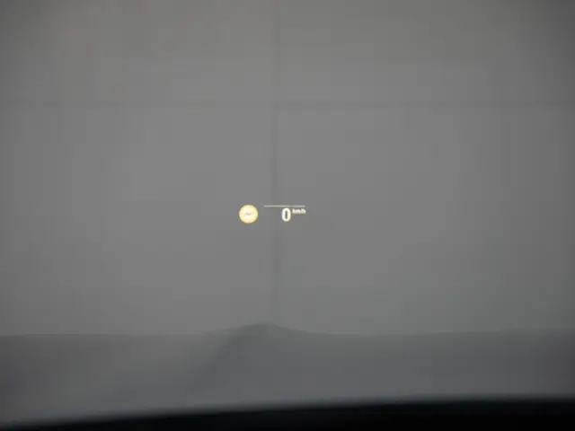 BMW X4 xDrive20i 2026 Benzine 31