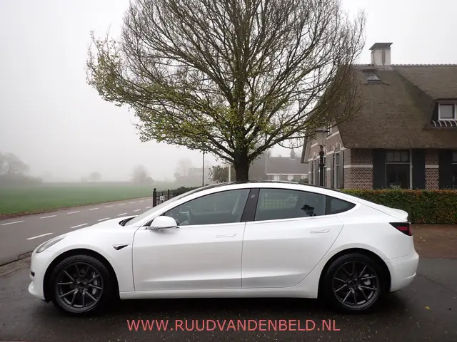 Tesla Model 3 SR+ 2020 Elektrisch 6